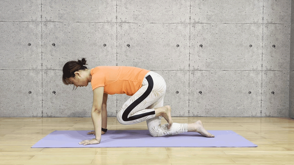 バックキックのやり方動画